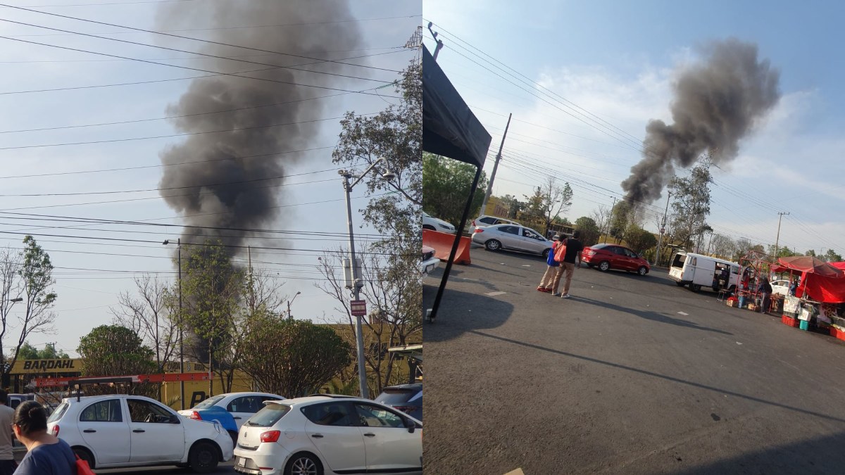 Cae Helic Ptero En Coyoac N Cdmx El Desplome De La Aeronave Fue Muy