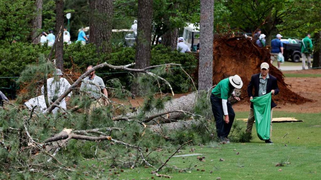 Un árbol detuvo la segunda ronda del Masters de Augusta luego de que se precipitó en una zona con aficionados.