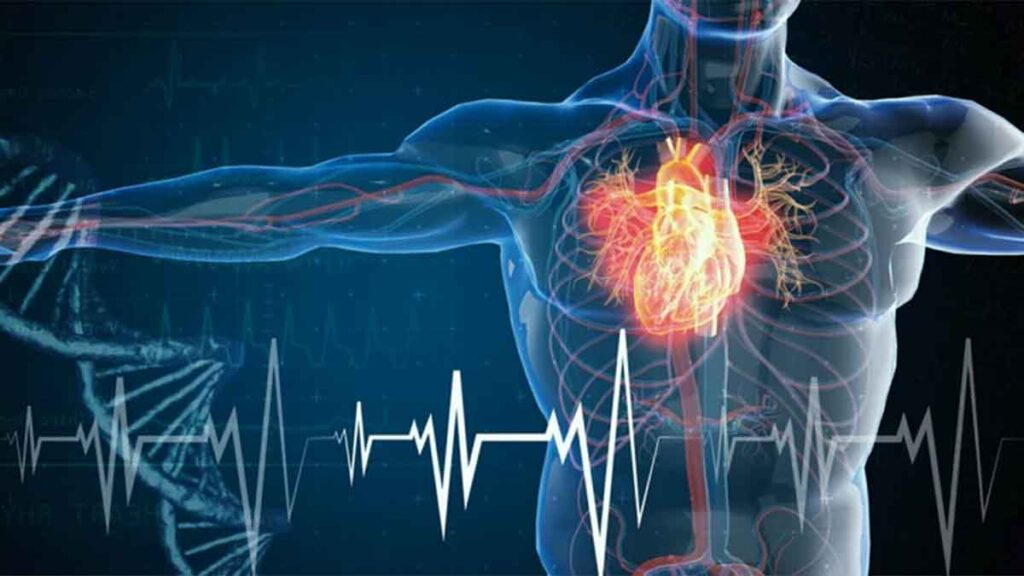 ¿Qué son los infartos de miocardio? Shutterstock / Santoelia