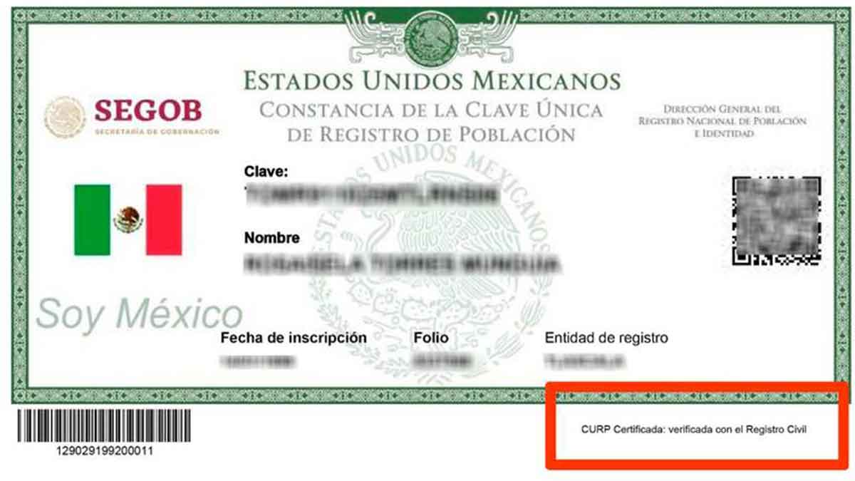 ¿por Qué Mi Curp No Está Certificada Consecuencias Y Pasos Para Solucionarlo Clarosportsemk 2270