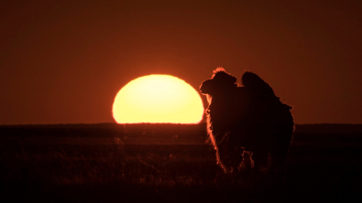 ¿Qué pasará el 23 de abril de 2023? Esto es lo que sabemos ClaroSports