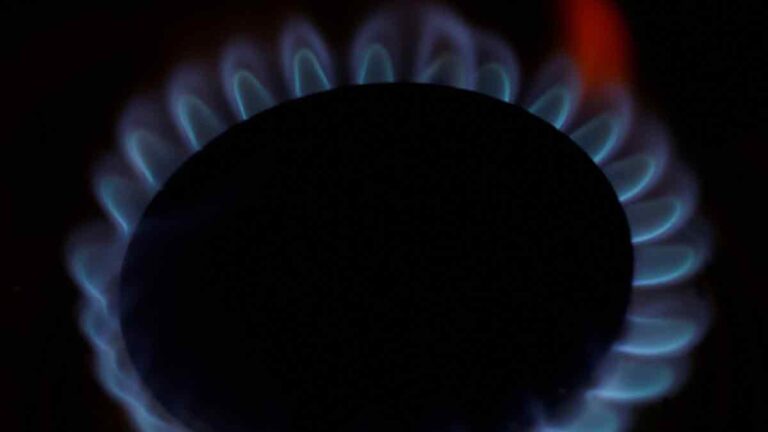 Baja el precio del gas en CDMX y Edomex: Esto costará el tanque de 20 kilos del 8 al 13 de mayo