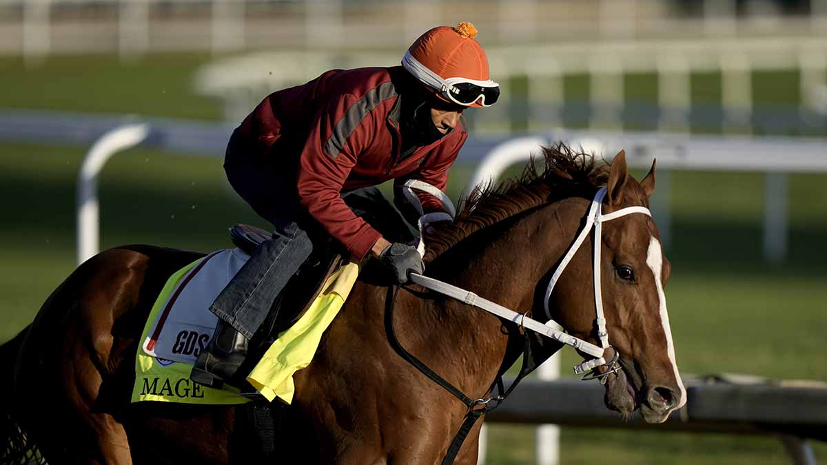 Mage, el caballo ganador del Kentucky Derby, favorito en Preakness ante