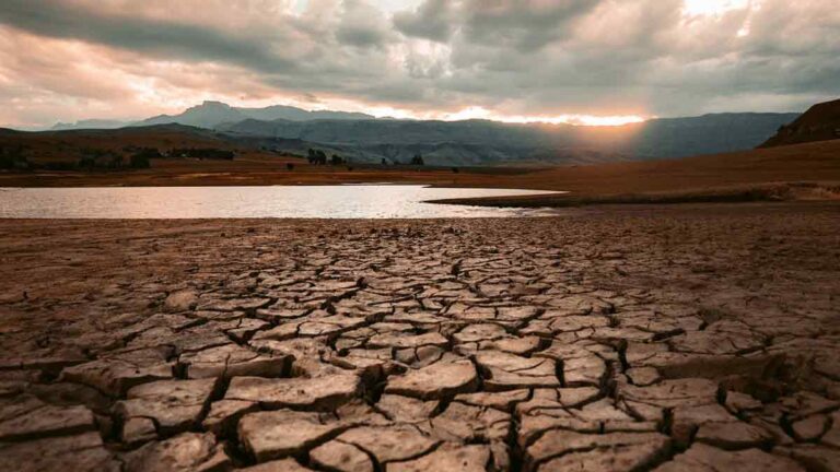 Sequía en México: Estos estados podrían quedarse sin agua en 2050