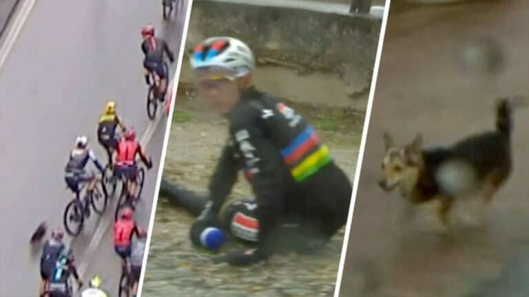 ¡Increíble! Perrito provoca caída del gran favorito Remco Evenepoel en el Giro de Italia
