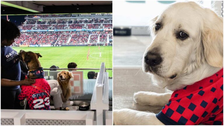 St. Louis FC hace historia en la MLS al tener su zona para ir al estadio con tu perro
