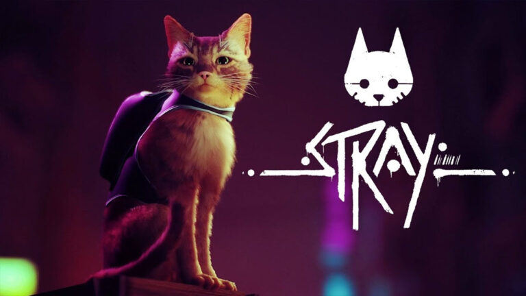 Todo parece indicar que ‘Stray’, el juego del gatito que enamoró a Internet, llegará a Xbox