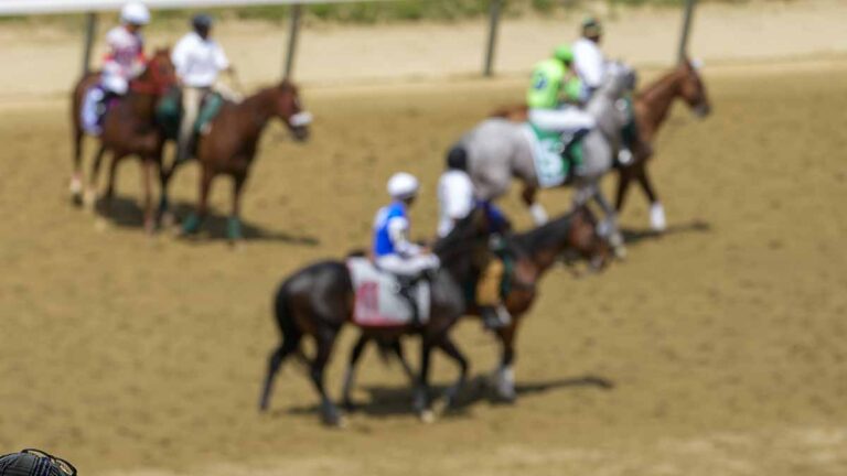 Belmont Stakes se suma a la ola de muertes de caballos, tras lo sucedido en el Kentucky Derby