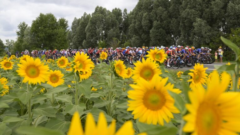 Tour de Francia 2023, en vivo: Recorrido, resultados y posiciones de la Etapa 11, en directo online