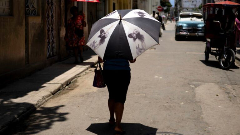 La semana más caliente en la historia del planeta: dos días consecutivos de récord