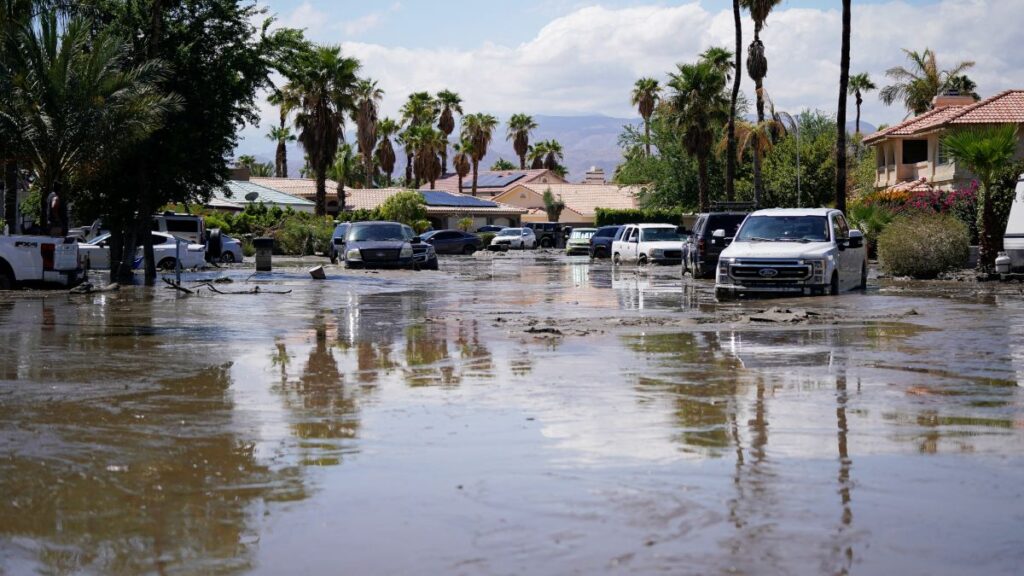 Así avanza la tormenta tropical Idalia rumbo a Florida | REUTERS/Bryan Woolston