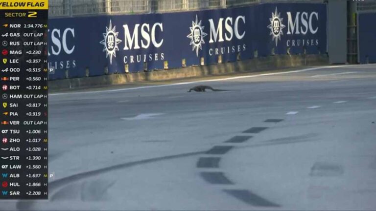 Lagartos invaden el circuito del GP de Singapur y se cruzan con Max Verstappen: “Quizá Godzilla tuvo un hijo