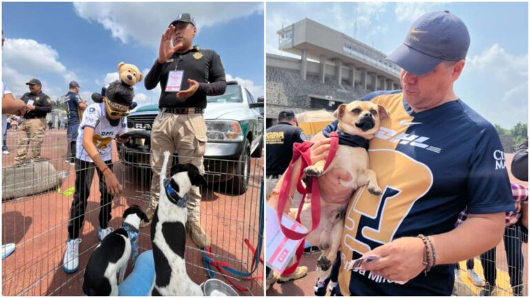 Pumas y la brigada de vigilancia animal ponen en adopción a unos perritos en el Olímpico Universitario