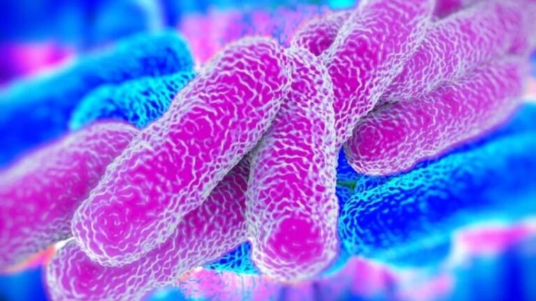 Alerta por brote de bacteria Klebsiella en hospital de Tunja: Conozca los peligros y cómo prevenir un contagio