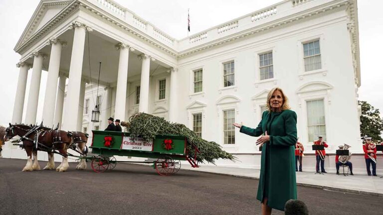 Fuertes vientos derriban árbol de navidad de la Casa Blanca, previo a la ceremonia de encendido