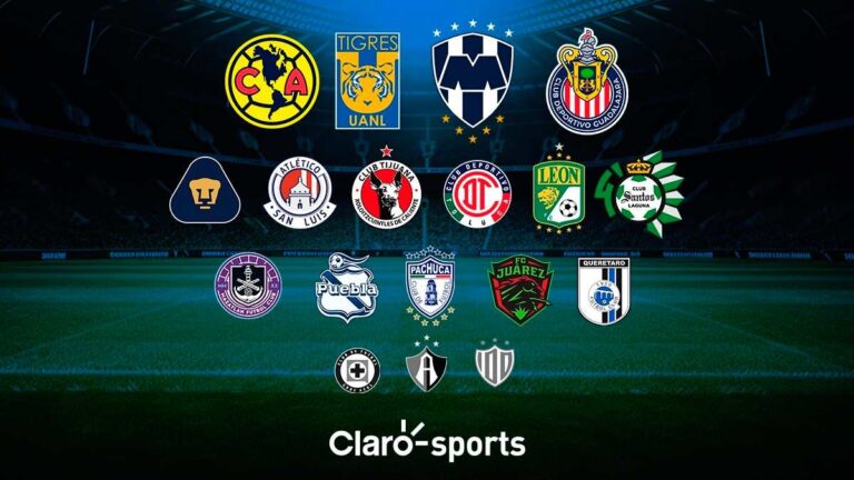 ¿Qué necesita tu equipo para calificar? El panorama de los 18 clubes de la Liga MX rumbo a la última jornada
