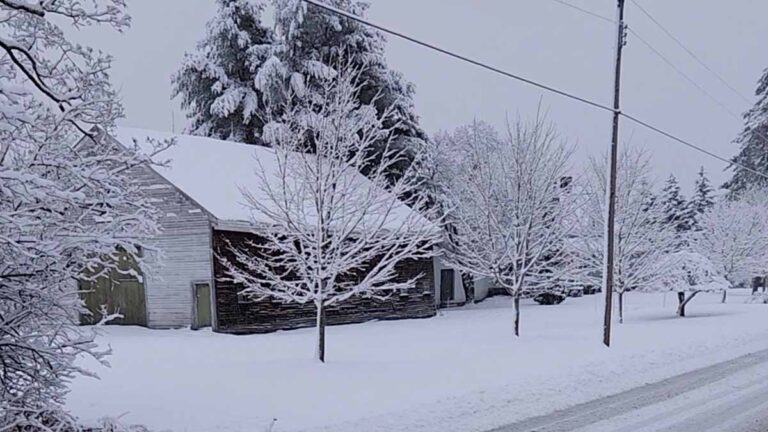 Tormenta de nieve en Nochevieja y Año Nuevo en USA: Trayectoria y estados que se verán afectados por su paso