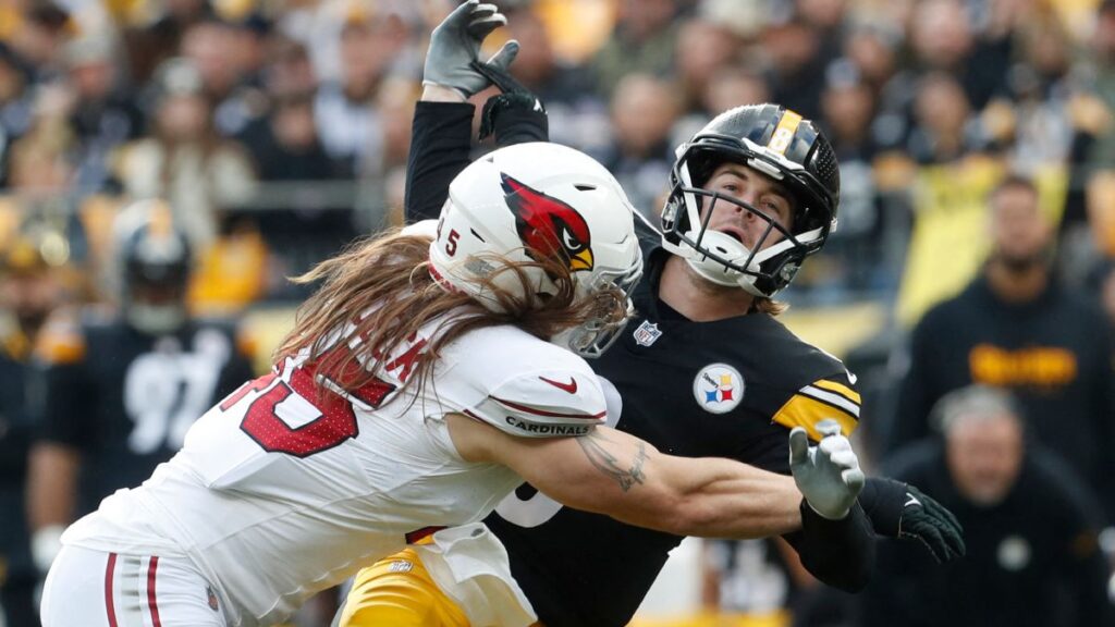 Arizona derrota a los Steelers | Charles LeClaire-USA TODAY Sports