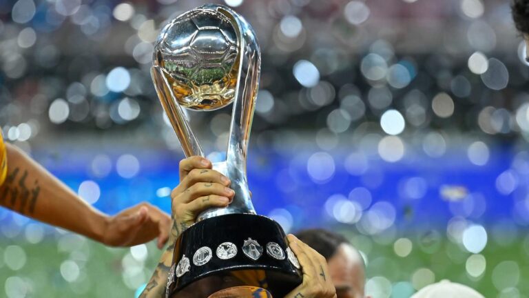 Liga MX: Todos los campeones del fútbol mexicano, torneo por torneo