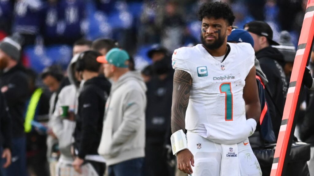 Los Dolphins dejan escapar el título de su división | Tommy Gilligan-USA TODAY