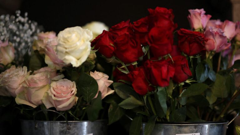 ¿Quién fue San Valentín y por qué se celebra el Día del Amor el 14 de febrero en su honor?