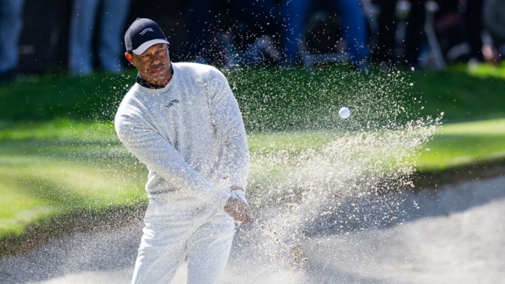 Woods retires due to flu Reuters