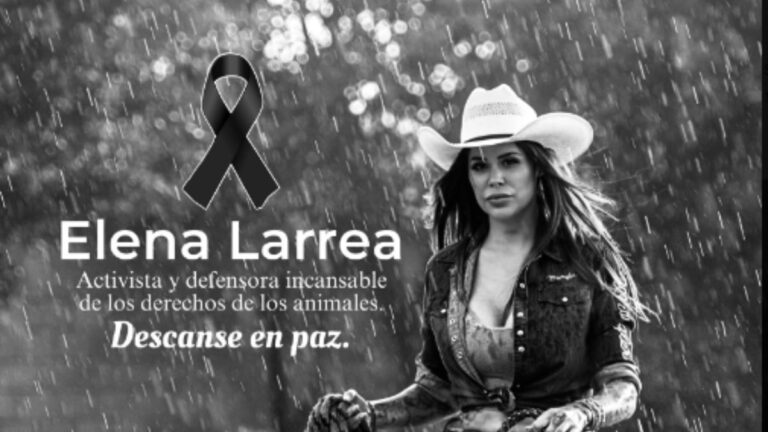 Muere Elena Larrea a los 30 años; de qué falleció la activista y fundadora de Cuacolandia