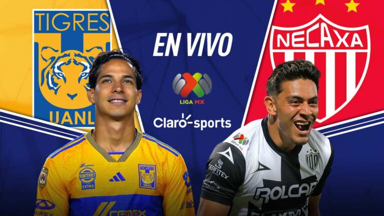 Tigres vs Necaxa en vivo la Liga MX: Resultado y goles de la jornada 16 del Clausura 2024