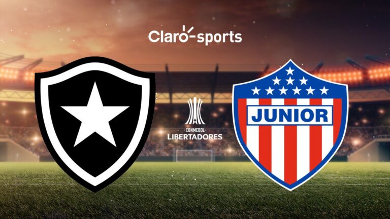 Botafogo vs Junior en vivo la Copa Libertadores: resultado y goles de la jornada 1 en la fase de grupos, al momento
