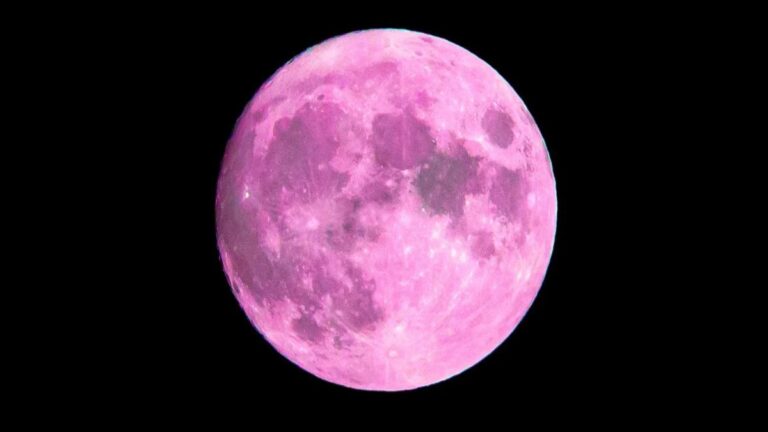 Luna llena rosa HOY abril 2024: cuándo es, a qué hora y cómo ver en Argentina