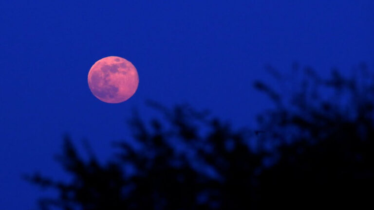¿Cómo ver la Luna Rosa de abril 2024 y cuál es el significado de este fenómeno astronómico?