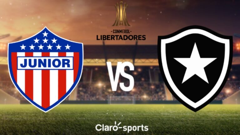 Junior vs Botafogo en vivo la Copa Libertadores 2024: marcador y goles de la fecha 6, al momento