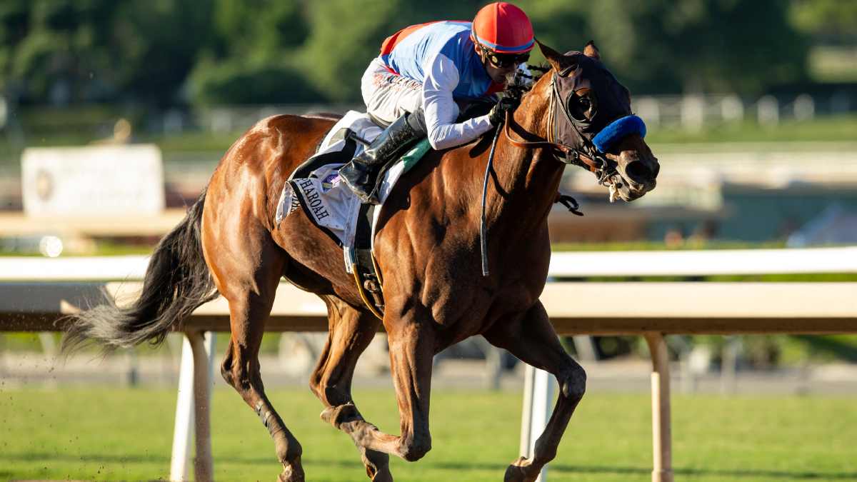 El favorito Muth no correrá el Preakness Stakes - ClaroSports