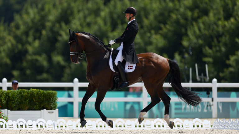 Highlights del ecuestre en Paris 2024: Resultados del Gran Premio en doma individual y por equipos