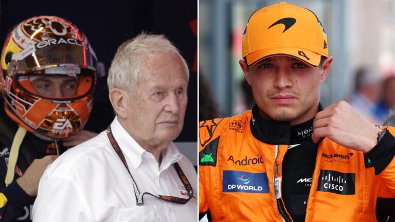 Helmut Marko defiende a Max Verstappen y califica como “patético” a Lando Norris
