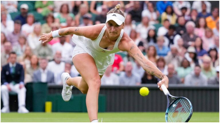 Vondrousova y Norrie quedan fuera del US Open por lesiones