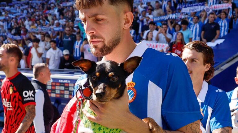 ¡Guau! El Espanyol sale al campo con perritos, en busca de promover la adopción de mascotas