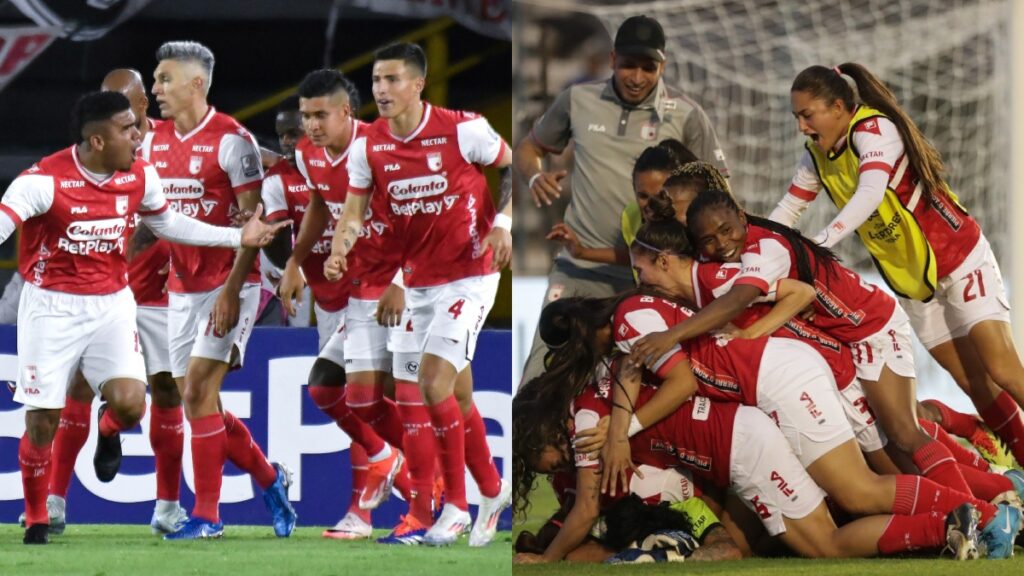 Santa Fe Femenino Masculino