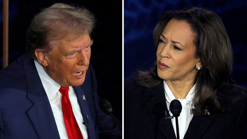 Cómo votar en Argentina por Donald Trump o Kamala Harris | Reuters