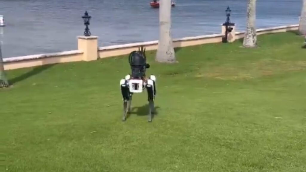 ¡Con perros robot! Así protege Donald Trump su casa en Mar-a-Lago