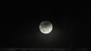 ¿Cuándo se podrá ver la Luna del Castor, la última superluna de noviembre, y del 2024?