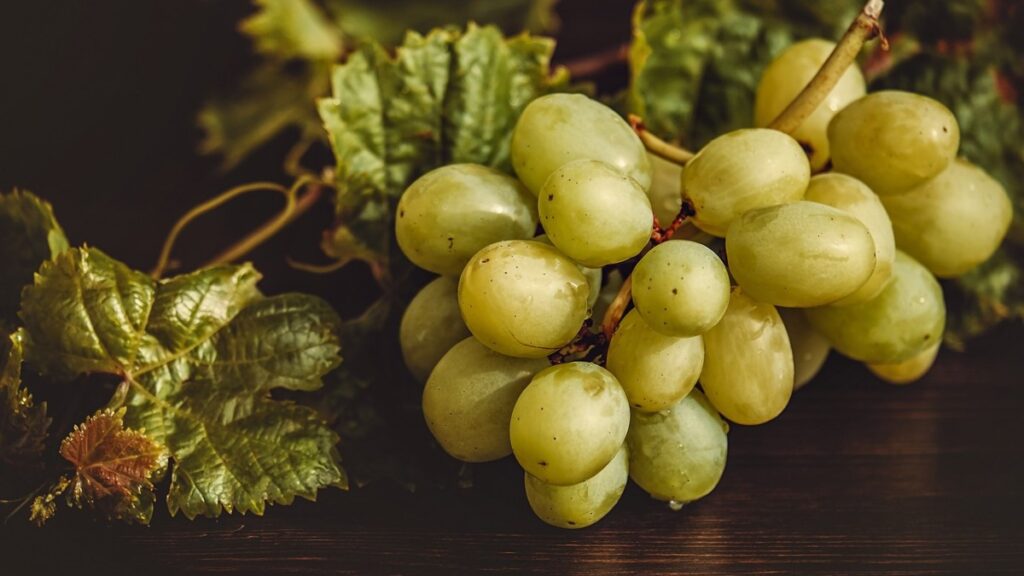 31 de diciembre: ¿Cómo se deben comer las uvas para tener un 2025 lleno de éxito y fortuna?