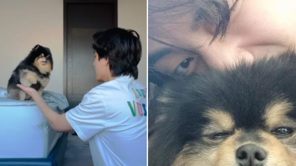 El perro de V de BTS llamado Yeontan