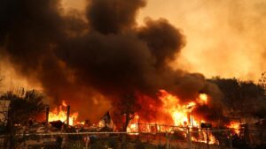 Incendios en Los Angeles: Famosos son evacuados de sus casas y los Critics Choice Awards son pospuestos