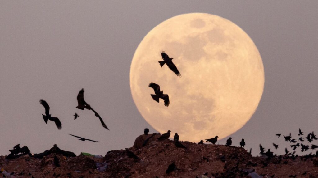 La Luna se alimenta de la luz del Sol