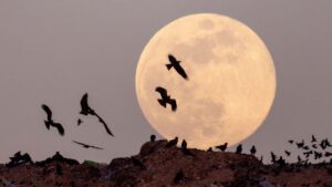 De la Luna de nieve a la del cazador: Calendario de lunas llenas 2025, de enero a diciembre