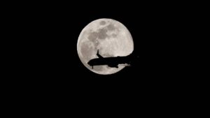 ¿Qué es la Luna del Lobo y cómo verla hoy desde México? Horarios y consejos para disfrutarla