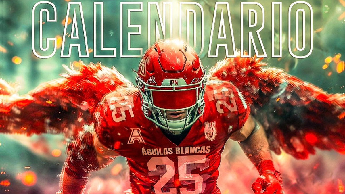 Soaring Inspiration: Dibujos de Aguilas Blancas