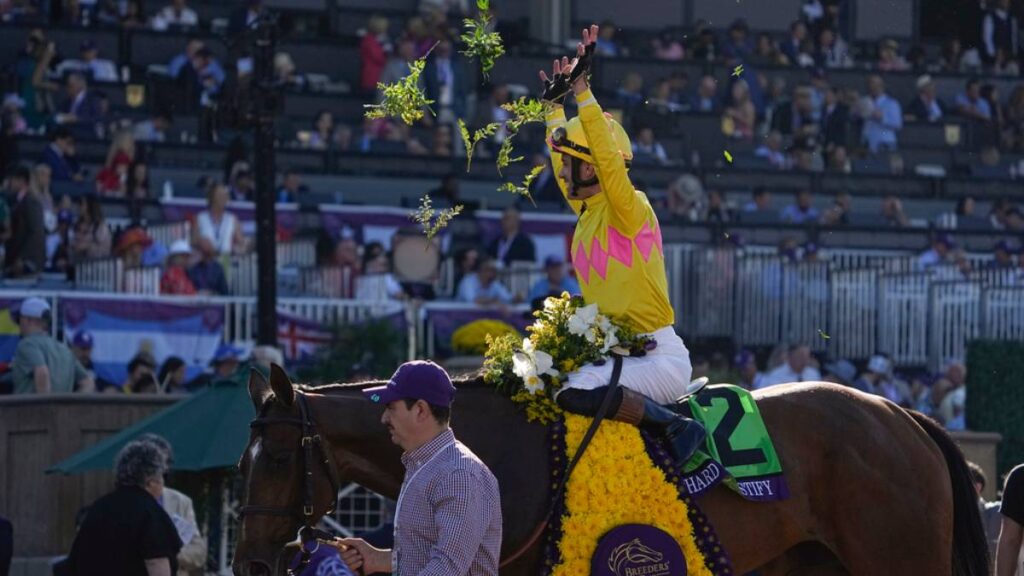 ¿Qué es, cómo se logra la Triple Corona de caballos y qué carreras la forman?