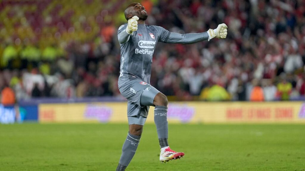 Andrés Mosquera Marmolejo / Vizzor